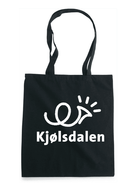 Hovedbilde Bærenett Kjøsdalen Musikklag